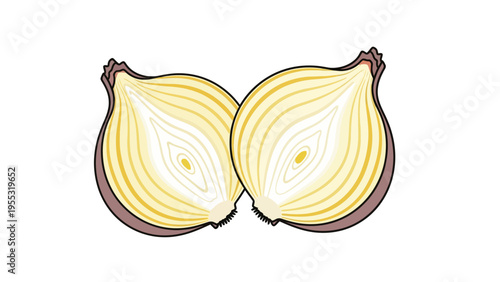 Onion Cut in Half.