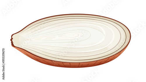 Onion Half Cut Open.