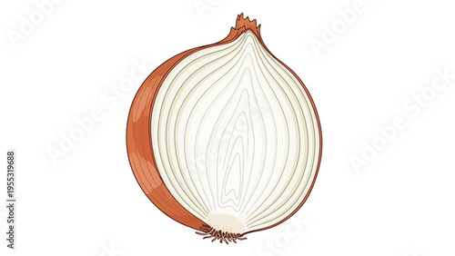 Onion Cut in Half.