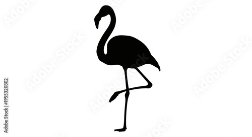 Black silhouette of a flamingo standing on one leg against a white background symbolizing nature and wildlife