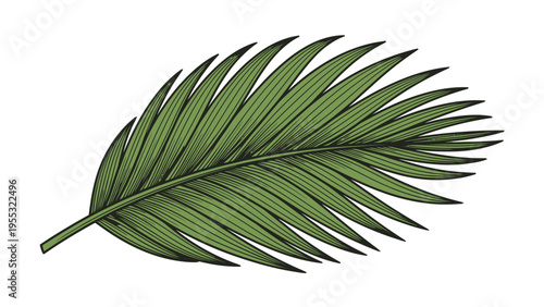 Palm Frond Leaf Green.