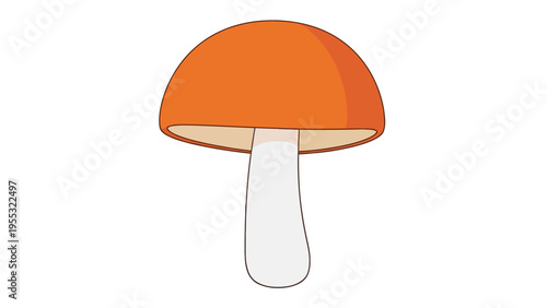 Orange Mushroom Illustration.