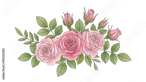 Roses bloom beautifully with green leaves and pink flowers in a garden scene.