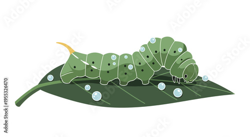 Green Caterpillar on Leaf.