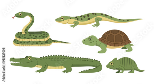 Reptiles Set Illustration.