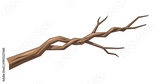 Twisted Brown Tree Branch.