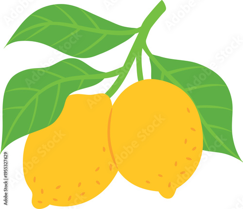 Juicy lemons on branch with leaves, vector flat tropical yellow sour citrus fruits, Mediterranean menu design element
