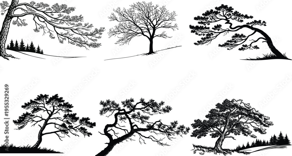 Fototapeta premium Collection of six black and white tree silhouettes in various landscapes
