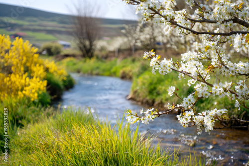 Spring meadow stream bordered by blooming wildflowers under a clear blue sky