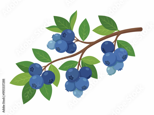 This visually appealing illustration features ripe blueberries hanging on a branch with green leaves, symbolizing freshness and nature’s bounty for fruit lovers and healthy living.