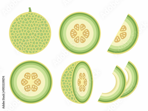 An artistic arrangement of sliced melon showcases its juicy segments and vibrant presentation, representing freshness and healthy eating choices in a visually appealing way.