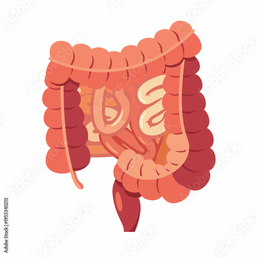 This image visually represents the human intestine with a creative design, showcasing its complex structure and emphasizing the importance of gut health in overall well-being.