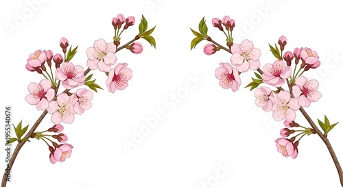 Two curved branches with pink cherry flowers and green leaves
