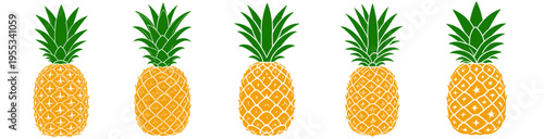 pineapple icons set with different decorative styles tropical fruit illustration collection fresh design elements isolated on white background