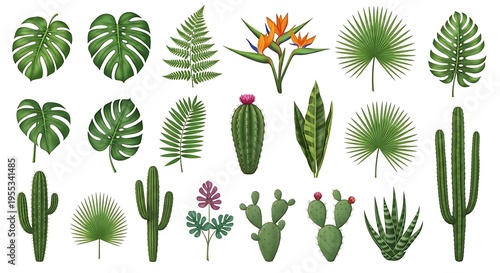 Collection of tropical plants and cacti