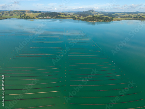 Scenic aerial view of Whangaroa Harbour oyster farming in Northland, New Zealand
