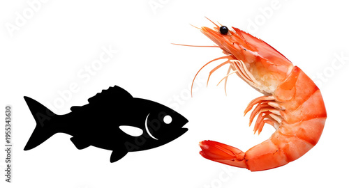 fish, prawn, shrimp, seafood, marine, ocean, sea, aquatic, underwater, animal, animals, wildlife, nature, water, reef, coral, tropical, fishing, catch, food, ingredient, cuisine, cooking, meal, dinner
