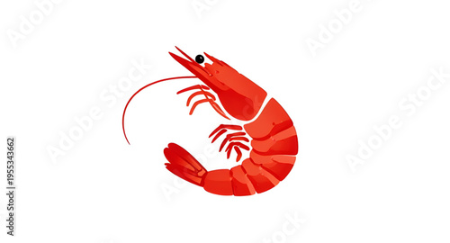 shrimp, seafood, prawn, fish, marine, ocean, sea, aquatic, crustacean, shellfish, animal, food, ingredient, cooking, cuisine, meal, dinner, restaurant, fresh, raw, boiled, grilled, fried, tasty, delic