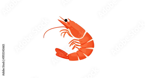 prawn, shrimp, seafood, fish, marine, ocean, sea, aquatic, crustacean, shellfish, animal, food, ingredient, cooking, cuisine, meal, dinner, restaurant, fresh, raw, boiled, grilled, fried, tasty, delic