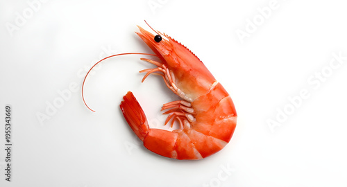 prawn, shrimp, seafood, fish, marine, ocean, sea, aquatic, crustacean, shellfish, animal, food, ingredient, cooking, cuisine, meal, dinner, restaurant, fresh, raw, boiled, grilled, fried, tasty, delic