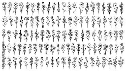 Set of numerous individual wild meadow flower botanical elements hand drawn in simple black ink sketch style for natural organic design decoration and rustic seasonal graphics collection.