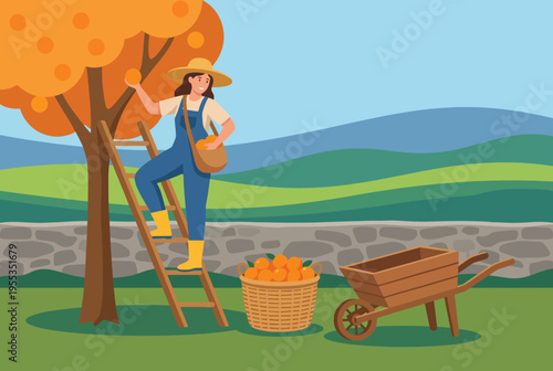 This charming image depicts a woman happily picking oranges from a tree while using a ladder, representing the joy of harvest in a sunny orchard setting.