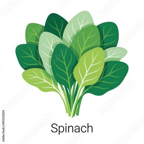 A bunch of fresh spinach leaves, symbolizing health and nutrition, depicted in a clean and simplistic style, perfect for promoting healthy eating.