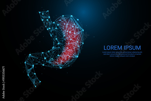 Futuristic Digital Stomach Illustration Depicting Digestive Health and Anatomy