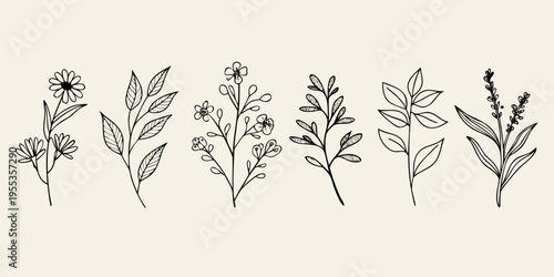 Delicate botanical illustration featuring various sketched wildflowers and foliage