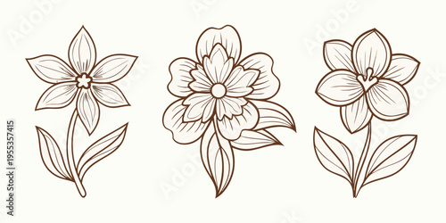 Vintage floral illustration featuring three delicately drawn blooming flowers