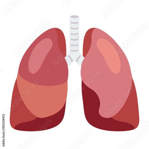 A detailed and artistic representation of human lungs, illustrating both the left and right lung with a clear bronchi trunk, designed for educational purposes and health awareness.