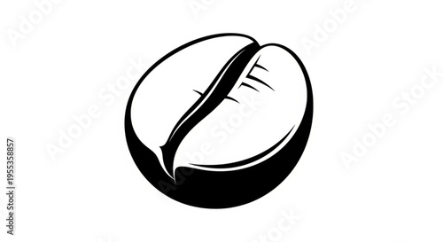 Vector ilustration of coffee bean