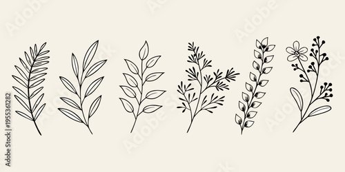 A collection of delicate black linear botanical illustrations of various plants