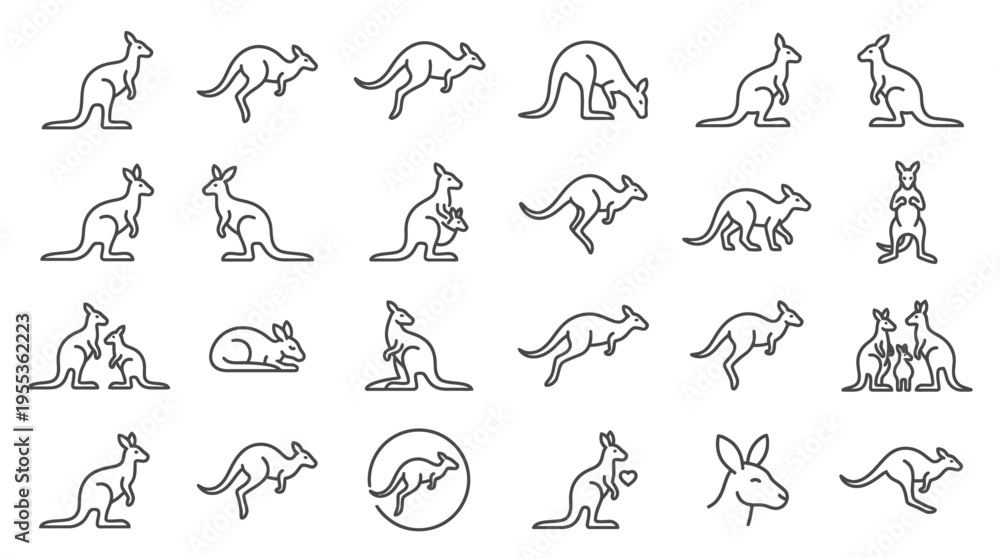 Fototapeta premium Kangaroo line art illustrations showcase various poses and actions in a natural setting.