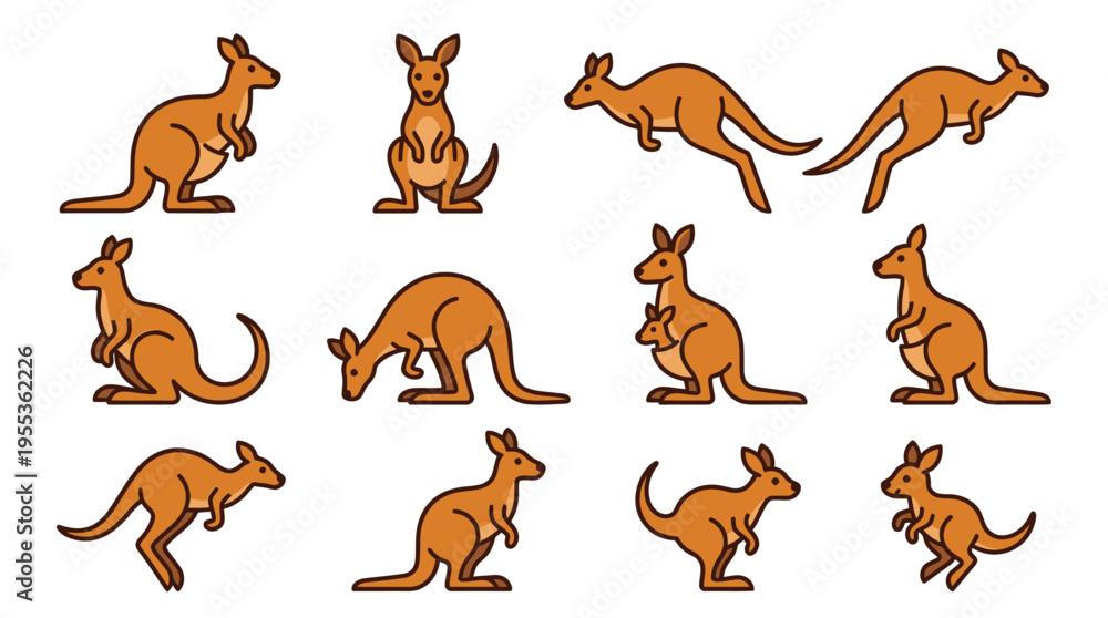 Obraz premium Kangaroo icons showcase various poses and movements in a digital illustration.