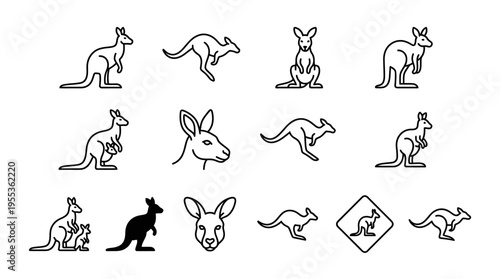 Kangaroo jumping sequence illustrations showcase various poses and movements outdoors