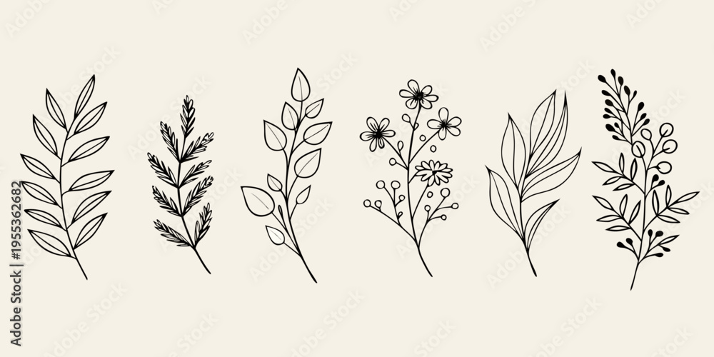 Fototapeta premium Delicate botanical illustration featuring various hand drawn leafy branches and flowers