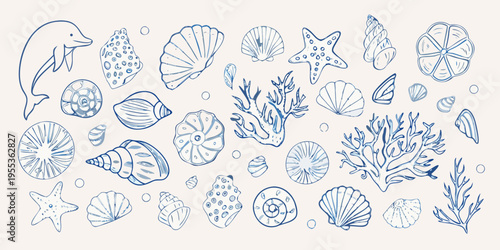 Blue line drawing of a dolphin and various marine life elements