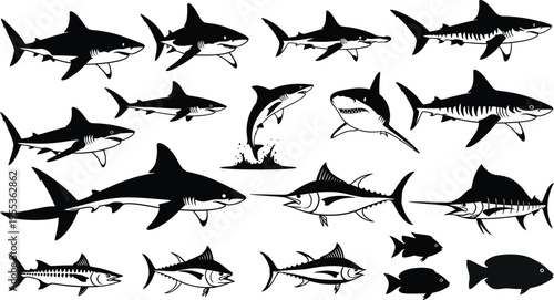 Silhouette of various sharks isolated on transparent background