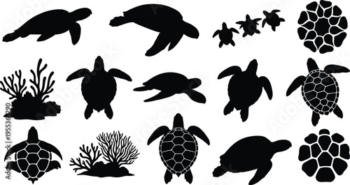 Silhouette of various sea turtles isolated on transparent background