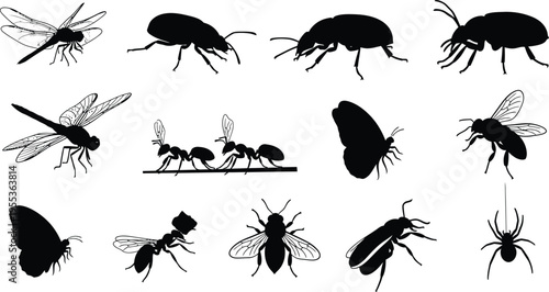 Silhouette of various insects isolated on transparent background
