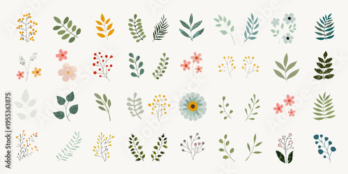 Collection of colorful botanical illustrations featuring various leaves and flowers