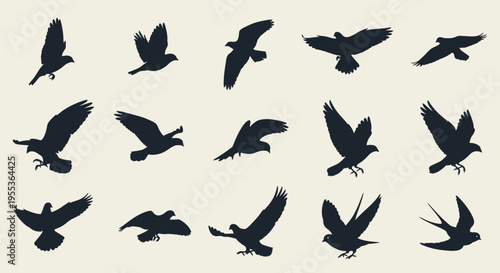 Set of Flying Bird Silhouettes in Various Poses
