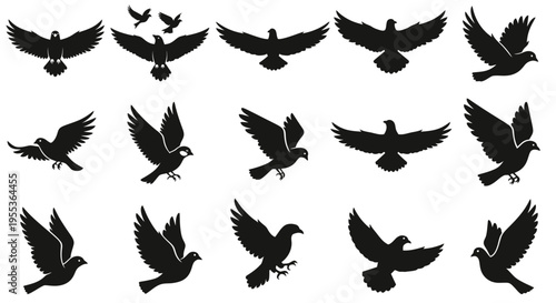Set of Flying Bird Silhouettes in Various Poses