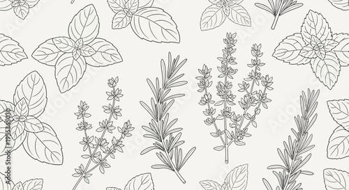 Seamless Pattern of Hand Drawn Culinary Herbs and Spices
