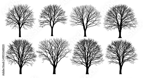 Set of eight bare trees with varying branch structures on white background for design and decoration