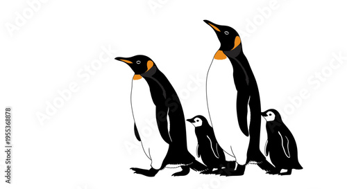 Four penguins standing together on white background family of king penguins with two adults and two chicks
