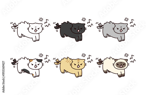 怒って威嚇するいろいろな種類のネコのイラストセット
