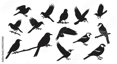 Collection of black bird silhouettes flying and perched on branches in various poses on white background