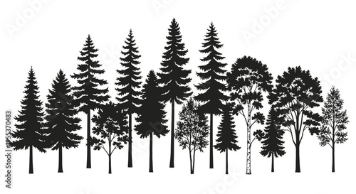 Various tree silhouettes on white background forest landscape with pine and deciduous trees